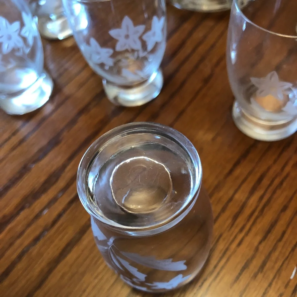 Vintage Clear Glass Etched Decanter and Six Shot Glasses